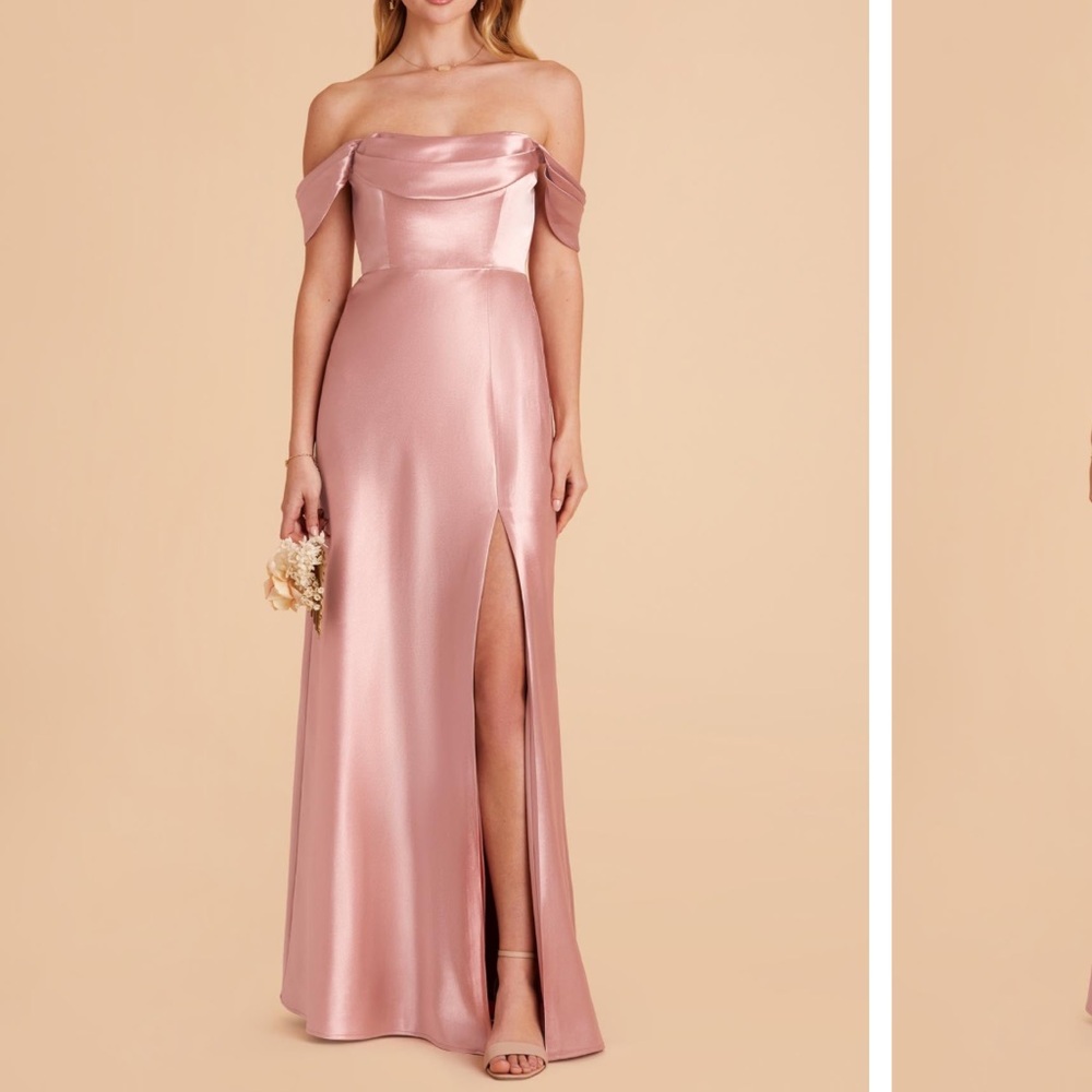 Birdy Grey Mia Dress in Shiny Satin English Rose